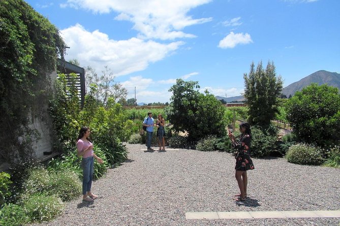 Maipo Valley litle wine bus from Santiago - Three winery visits: De Martino, Santa Ema, and TerraMater