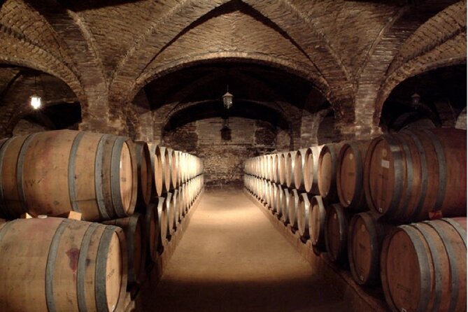 Maipo Valley Top Wineries Private Tours and Tastings from Santiago - Concha y Toro and the Devil’s Cellar