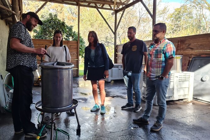 Maipo Valley Wine Tour with 4 vineyards from Santiago. - Viña Ballek beside the Maipo River