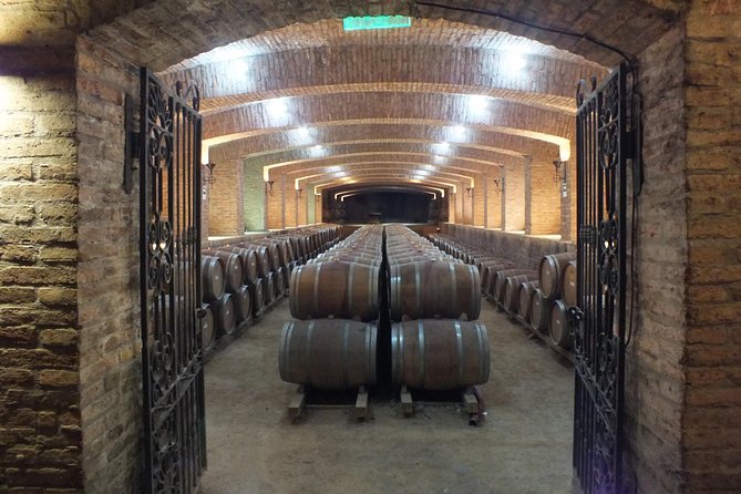 Maipo Valley Wine Tour with 4 vineyards from Santiago. - Viña Undurraga closes with the biggest winery visit