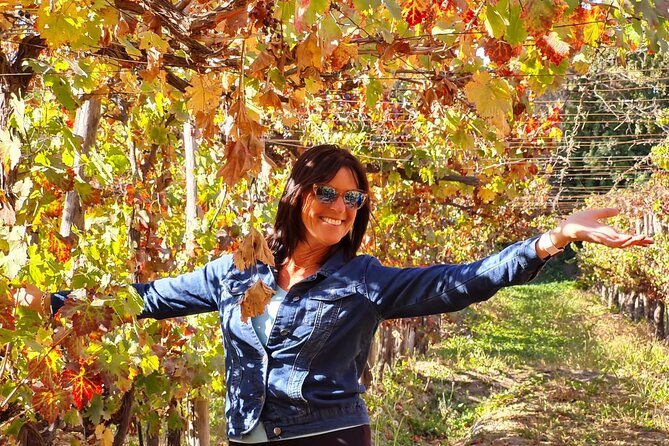 Maipo Valley Wine Tour with 4 vineyards from Santiago. - Starting early with pickup and a small group