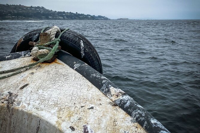 Marine life & flavors of the Pacific Full Day Private Tour - Seafood, empanadas, and Chilean wine at Chiringuito