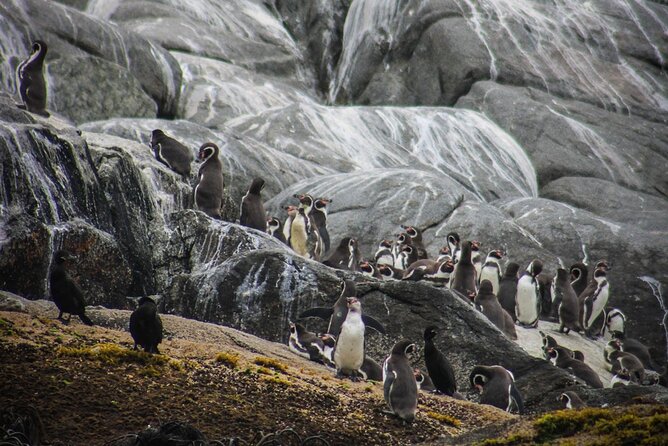 Marine life & flavors of the Pacific Full Day Private Tour - Is $360 per person a fair price?