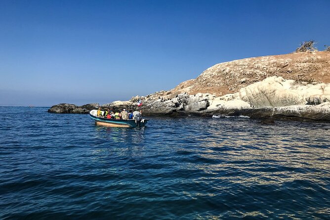 Marine life & flavors of the Pacific Full Day Private Tour - Walking through Cachagua and Zapallar