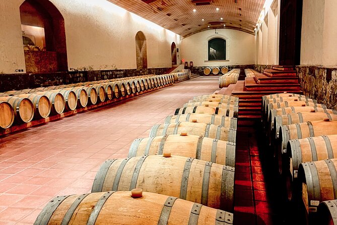 Marquis de Casa Concha: Wine tasting in Concha y Toro - Guarda del Alto Winery and the tasting program
