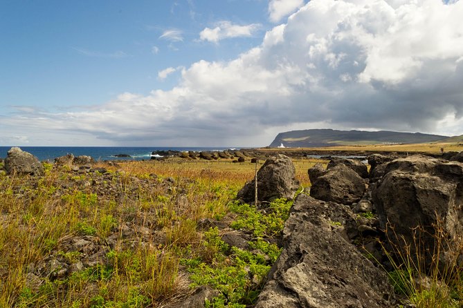 Moai Rise and Fall: Full Day Private Tour - Who will get the most from this experience