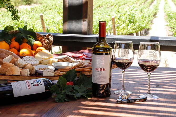 Moment Tour Tasting Icon - Key Points About the Viña Encierra Visit