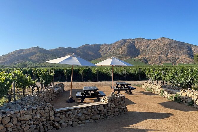 Moment Tour Tasting Icon - The Family Chapel and Viña Encierra’s Quietest Moment