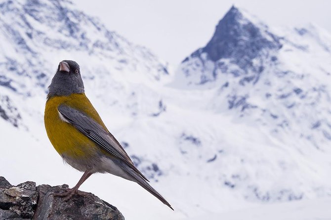 Morado Natural Monument - From Santiago to the Maipo River canyon