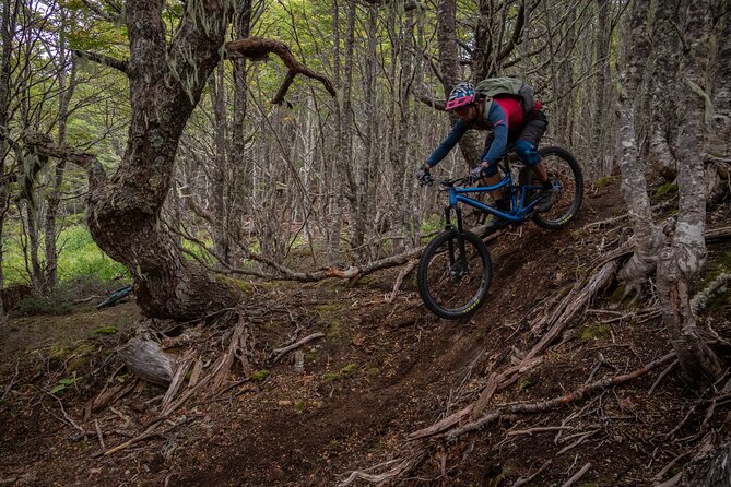 Mountain Bike Adventure in Punta Arenas - Key points to know before booking