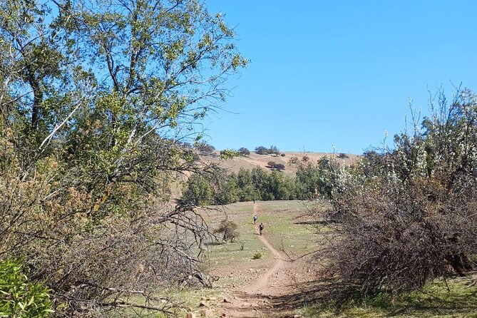 Mountain Bike Experience from Chile - Who Will Enjoy This Ride Most