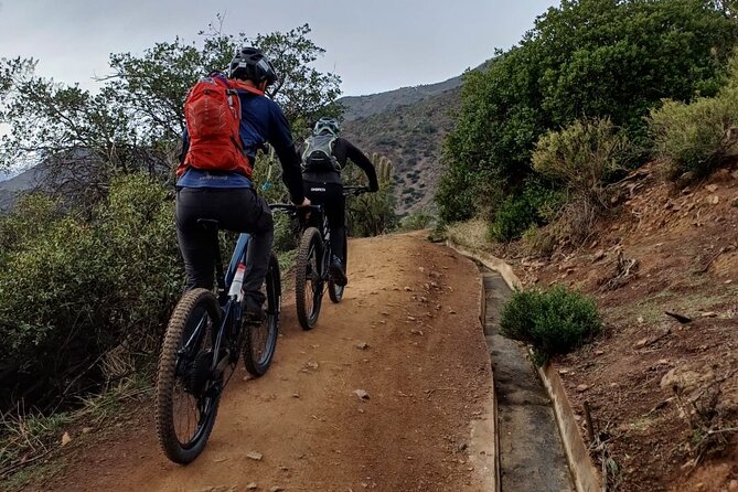 Mountain Bike Experience from Chile - Practical Details Before You Book