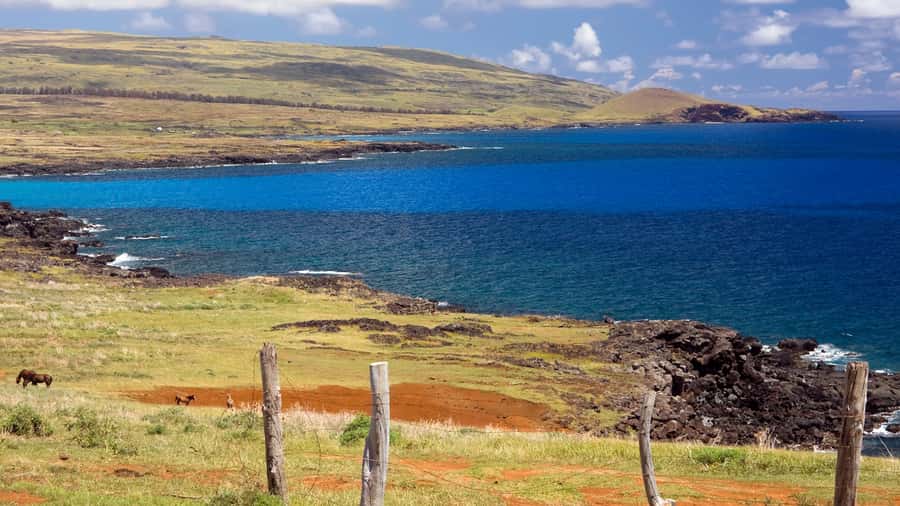 Mystery of the Poike:Walk through the most unknown Rapa Nui - Private touring and the $219 question
