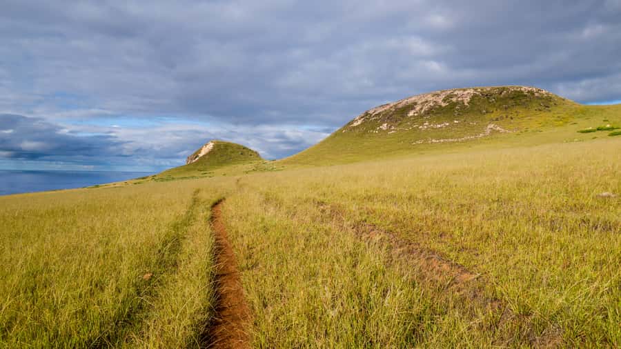 Mystery of the Poike:Walk through the most unknown Rapa Nui - Poike: one hour among remote archaeological sites