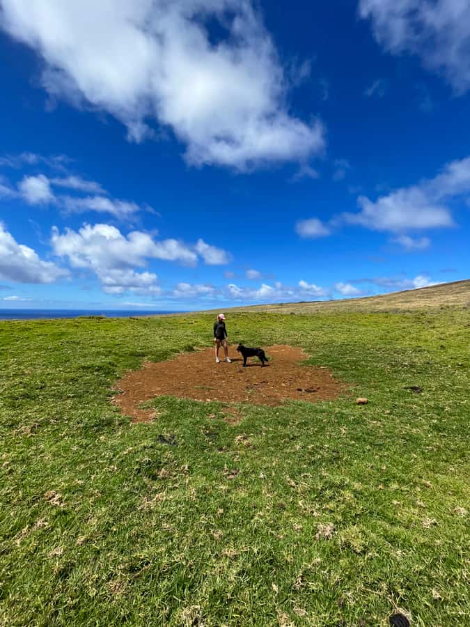 Mystery of the Poike:Walk through the most unknown Rapa Nui - Vai a Heva face: a short stop with a strong visual focus