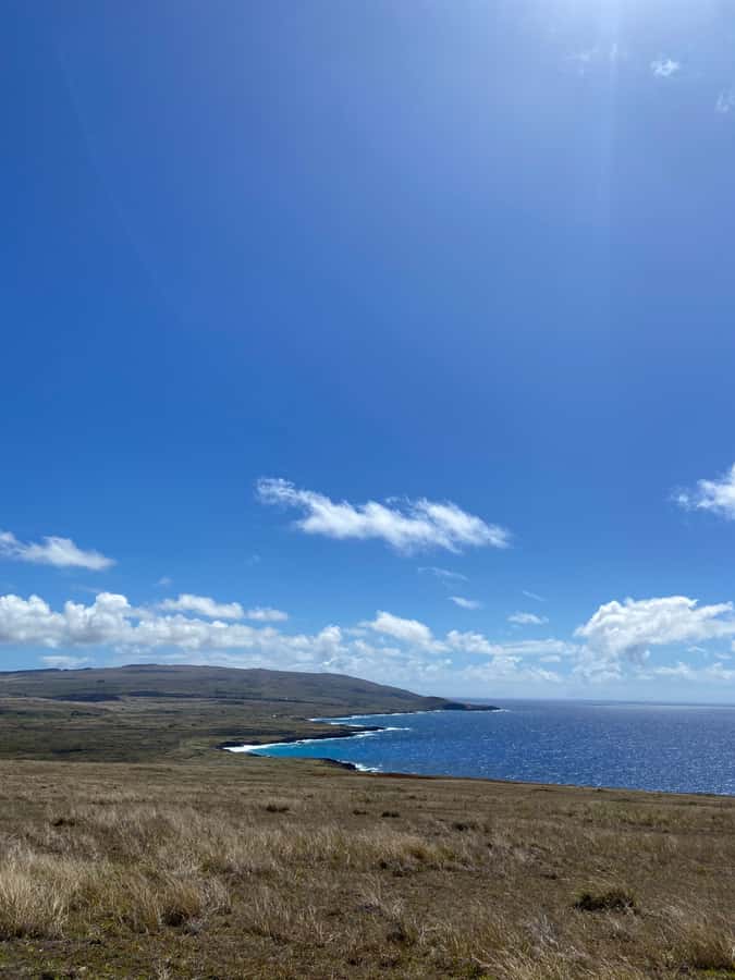 Mystery of the Poike:Walk through the most unknown Rapa Nui - The walking conditions deserve more attention