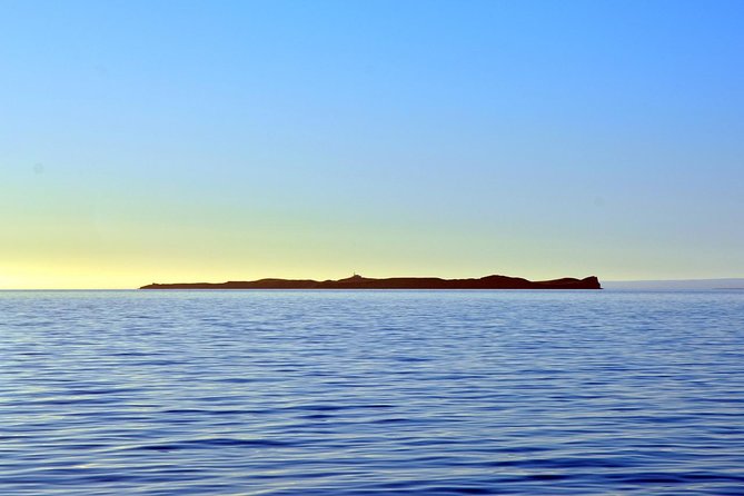 Navigation Magdalena Island and Marta - Why this early-morning wildlife trip works