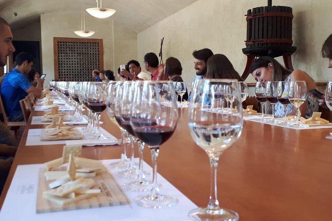 New Concha y Toro Tour Marques with class, extra tasting y food - The Casillero del Diablo cellar