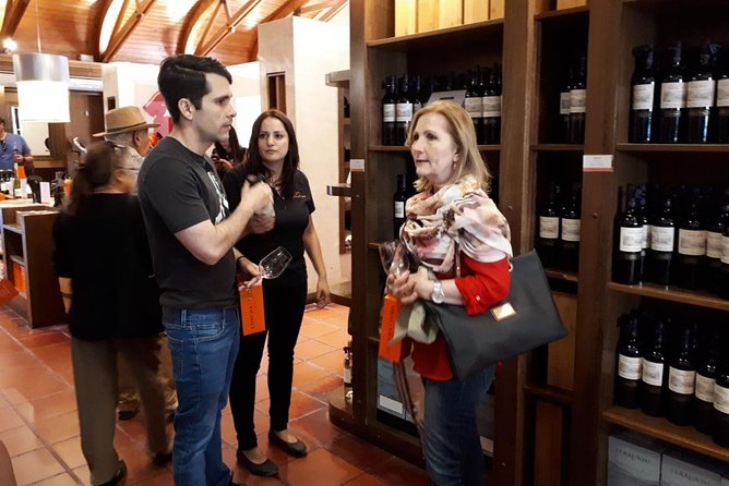 New Premium Concha y Toro Tour Includes winetasting & Transport - From Santiago to the Maipo Valley