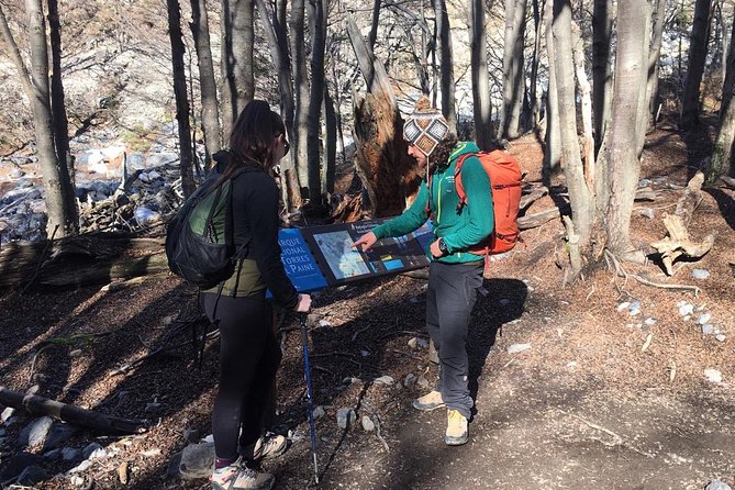 Outdoor trekking in Base Torres (private service) - Hotel Las Torres to Campamento El Chileno