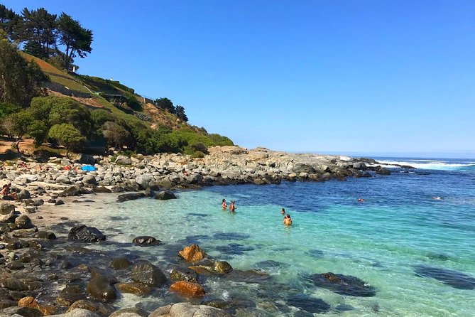 Pacific Ocean Hike Private Tour 7K - Walking from Cachagua to Zapallar
