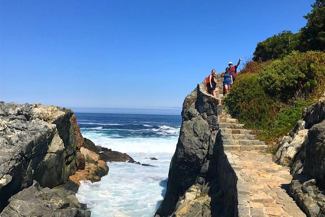 Pacific Ocean Hike Private Tour 7K - Who should book this coastal day?