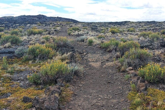 Pali Aike Full-Day Adventure from Punta Arenas - Key points to know before booking