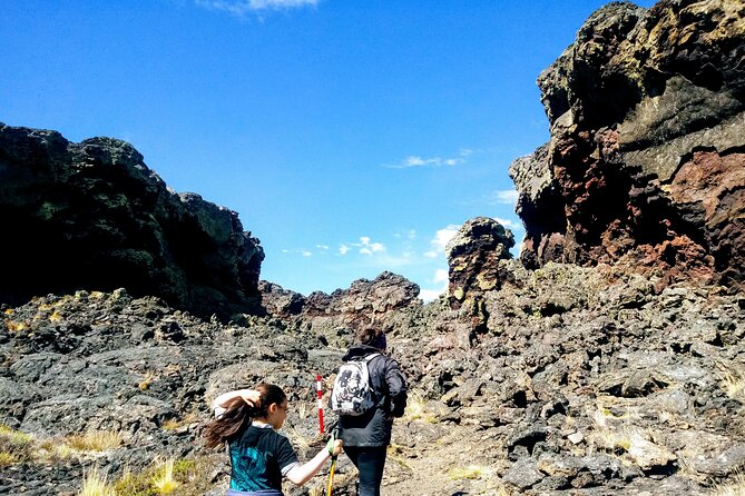 Pali Aike Full-Day Adventure from Punta Arenas - Wind, weather, and what the walk feels like