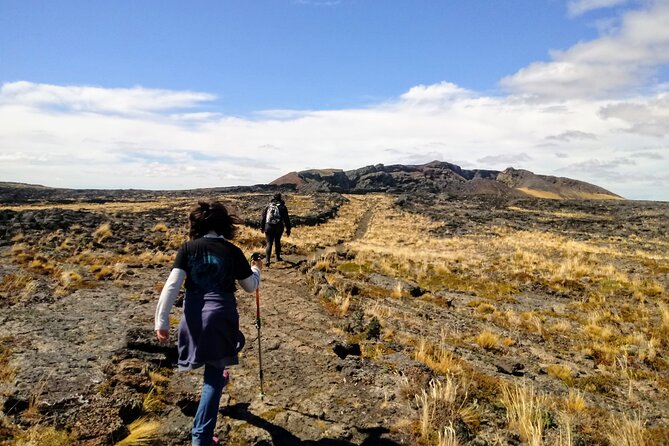 Pali Aike Full-Day Adventure from Punta Arenas - Who will enjoy this outing most?