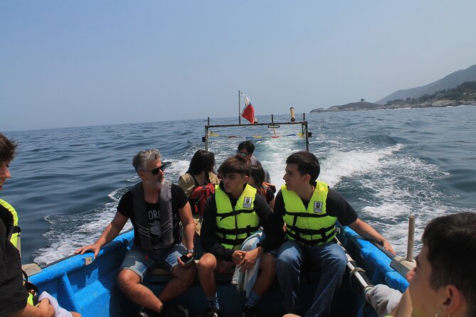 Penguin Island Boat Tour from Zapallar - Small Group Experience - The return ride and the value of a private group