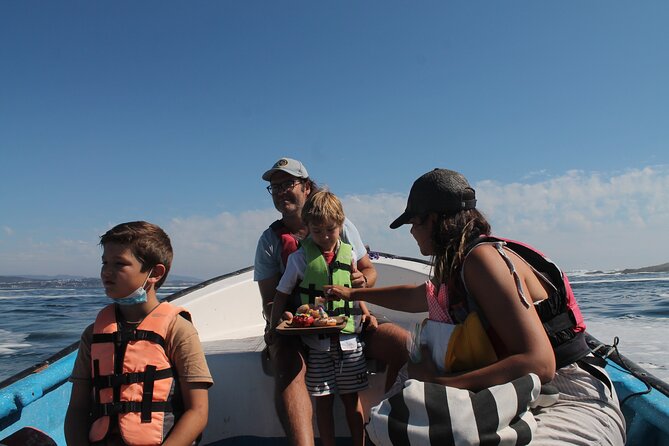 Penguin Island Boat Tour from Zapallar - Small Group Experience - Practical details, price, and cancellation