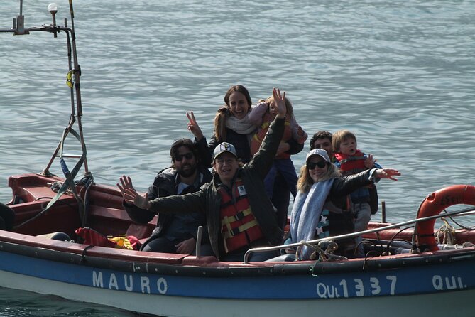 Penguin Island Boat Tour from Zapallar - Small Group Experience - What I would bring and how I would plan the day