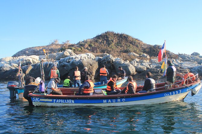 Penguin Island Boat Tour from Zapallar - Small Group Experience - Leaving Zapallar Beach for Isla Cachagua