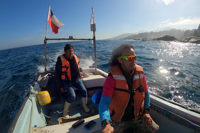 Penguins Watching Navigation Cachagua Island&Lunch From VALPARAIS - The 8:30 a.m. start and private ride