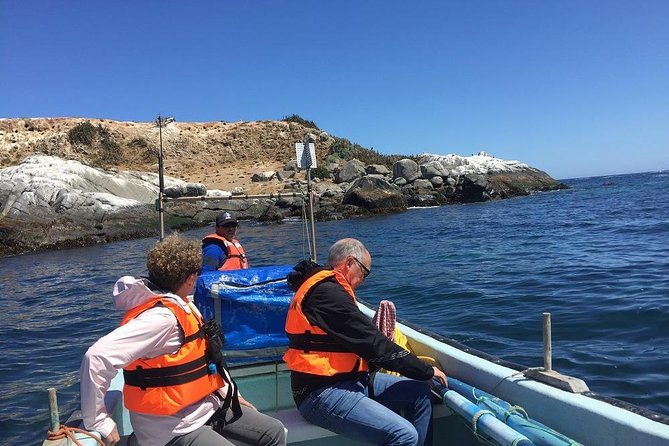 Penguins Watching-Navigation & HorseRide & Barbecue From Santiago - Zapallar’s beaches and dock