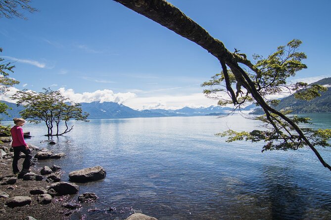 Petrohue Falls and Osorno Volcano Bike Tour - Key points at a glance