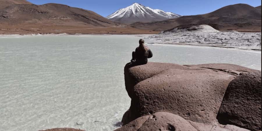 Piedras Rojas, Altiplanics Lagoons & Salar Full-Day Tour - Key points to know before booking