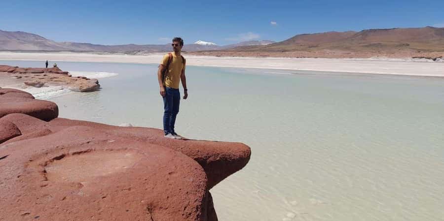 Piedras Rojas, Altiplanics Lagoons & Salar Full-Day Tour - Why this 10-hour Atacama day works so well