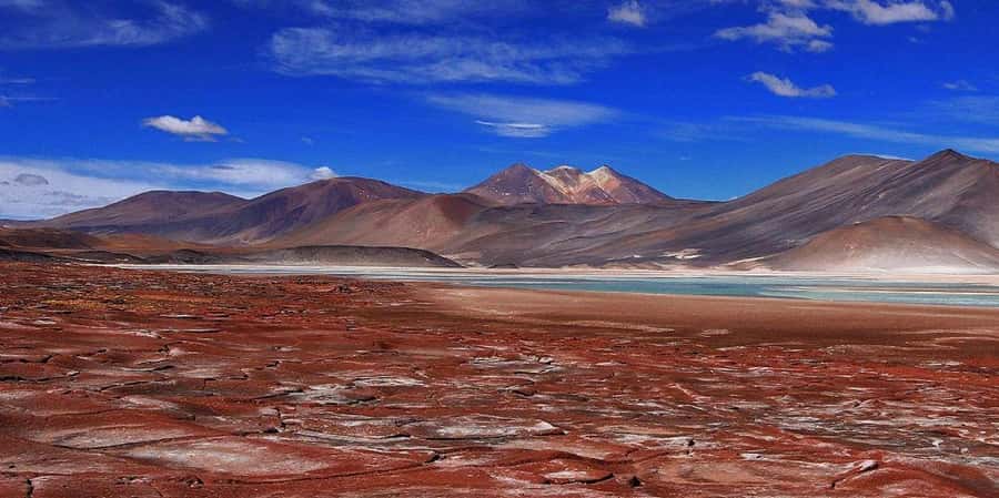 Piedras Rojas, Altiplanics Lagoons & Salar Full-Day Tour - Piedras Rojas and the Salar de Talar