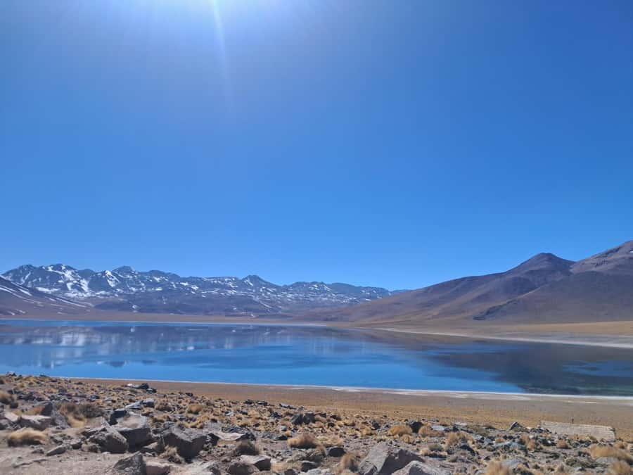 Piedras Rojas, Altiplanics Lagoons & Salar Full-Day Tour - Food, transport and the practical trade-offs