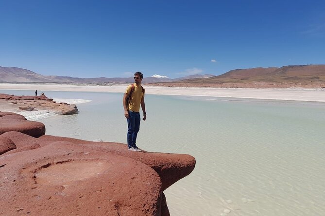 Piedras Rojas Salt Flats and Altiplanic Lagoons - Key points to know before you book