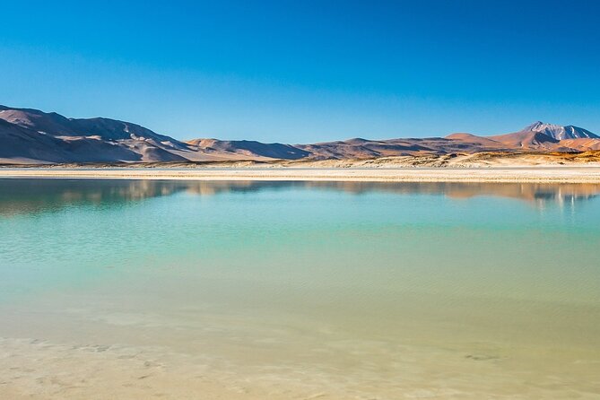 Piedras Rojas Salt Flats and Altiplanic Lagoons - Why this day trip earns a place on your Atacama plan