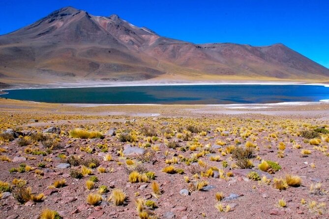 Piedras Rojas Salt Flats and Altiplanic Lagoons - The high-altitude lagoons of Miscanti and Miñiques