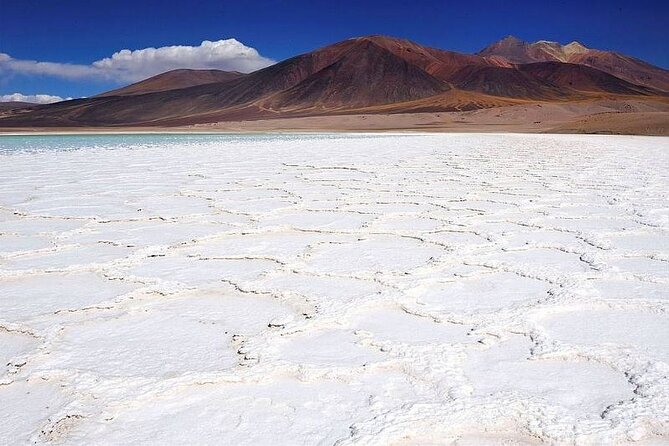 Piedras Rojas Salt Flats and Altiplanic Lagoons - The 6:00 a.m. start from San Pedro de Atacama