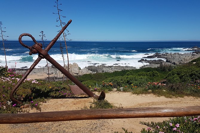 Poetry and Wines: Isla Negra and Undurraga vineyard - Who will enjoy this Chile day trip most