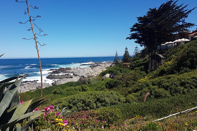 Poetry and Wines: Isla Negra and Undurraga vineyard - Algarrobo and the world’s biggest pool view