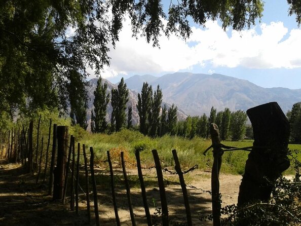 Portillo and Laguna del Inca Tour with Lunch at Hotel Portillo - Key points to know before booking