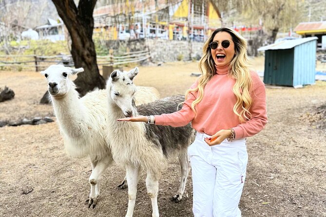 Portillo Full Day Andean Escape with Gourmet Picnic - Llamas, photographs, and the small surprises