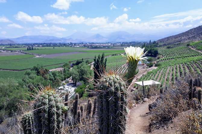Portillo & Inca Lagoon Private Andes Experience + Chilean Wine - Portillo brings mountain history and practical lunch choices