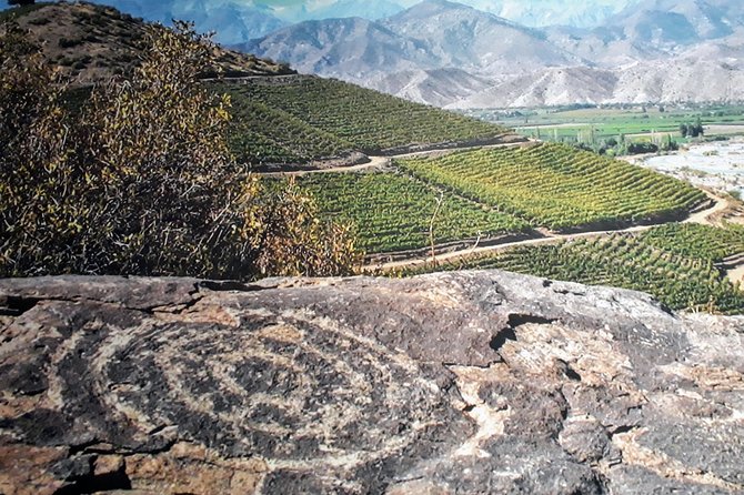 Portillo & Inca Lagoon Private Andes Experience + Chilean Wine - What the guides add to a private outing